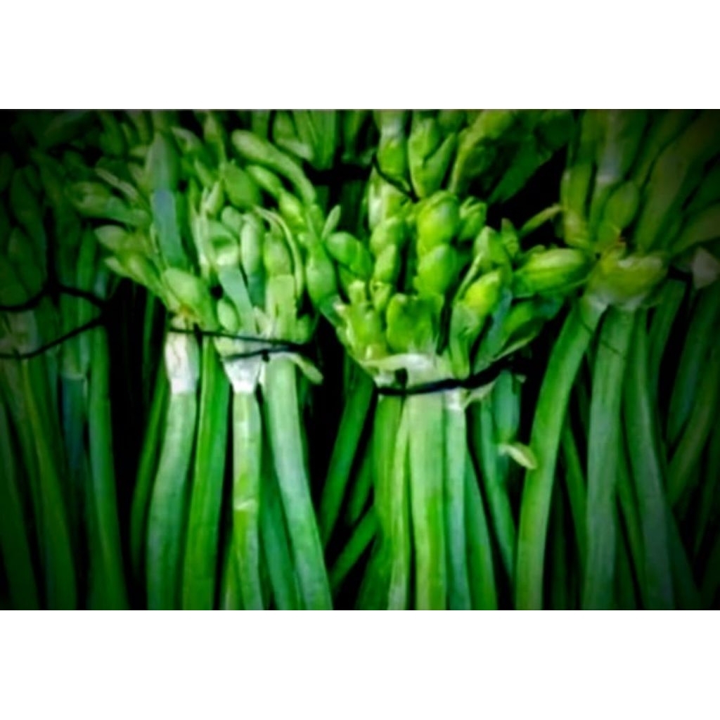 Bunga genjer sayur segar 250gram