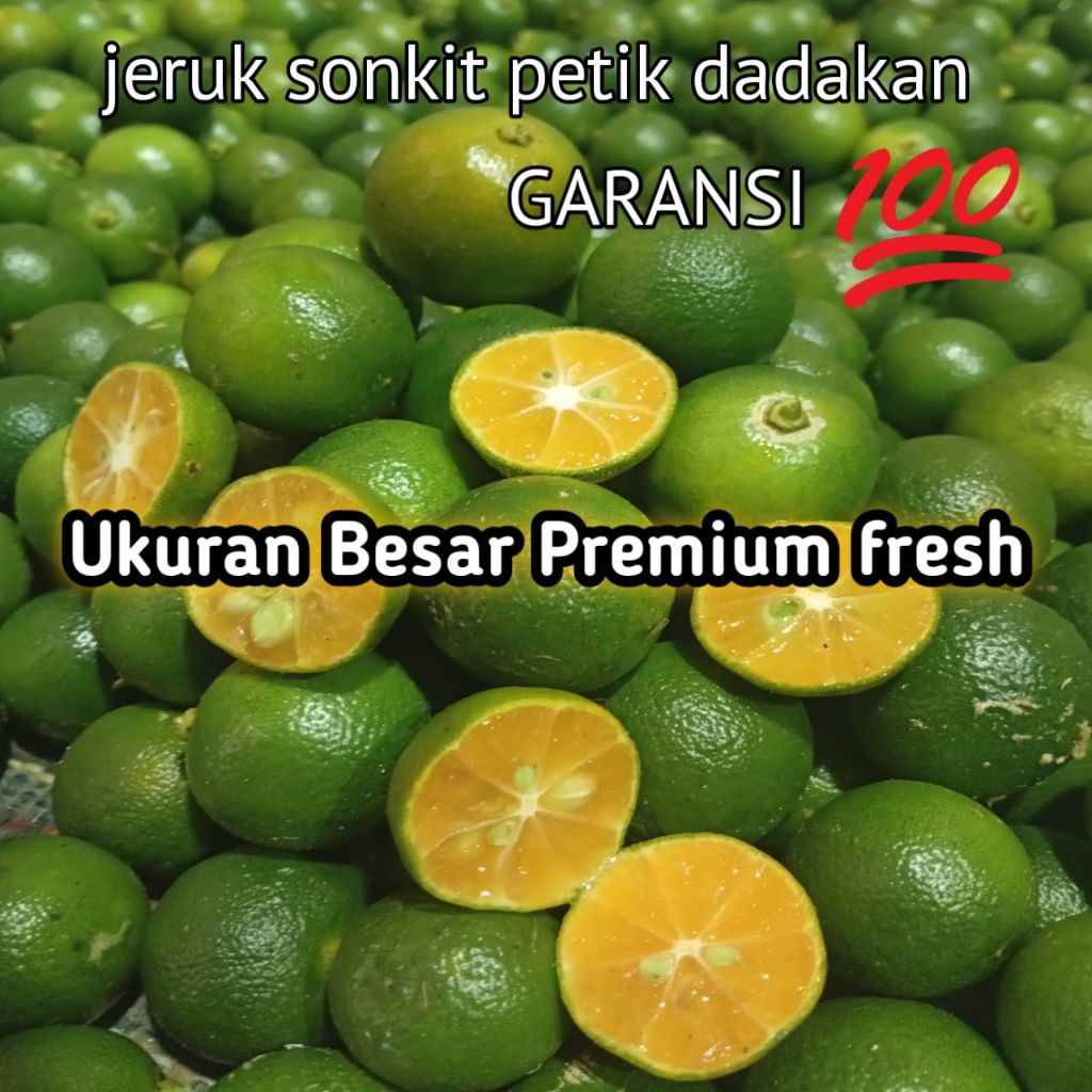 1KG JERUK SONKIT PREMIUM BESAR /JERUK KUNCI /JERUK LEMON CUI