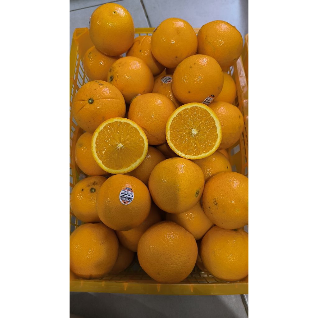 Jeruk Sunkist Navel Australia