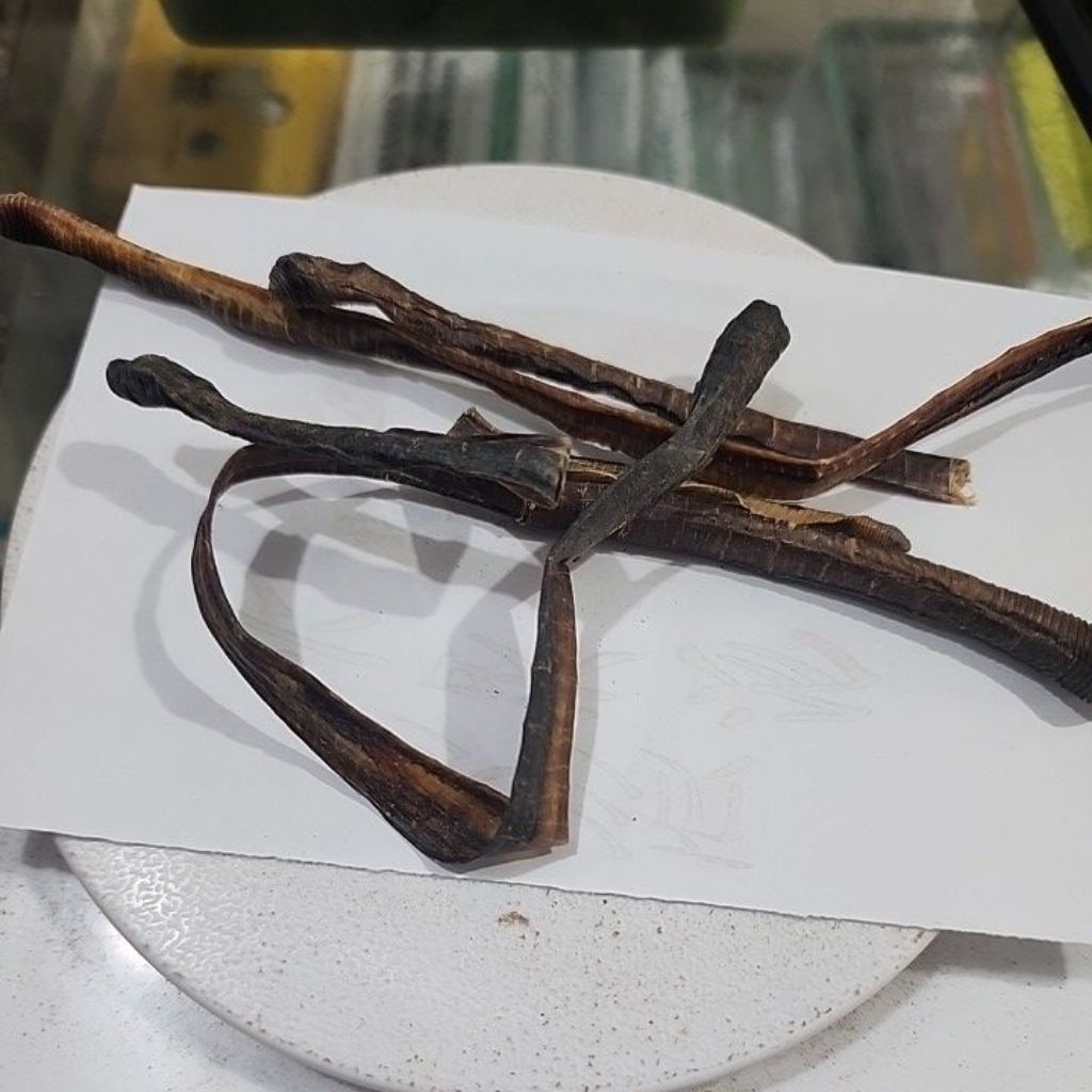 cacing tanah kering 10 gram / dilong / thiliung