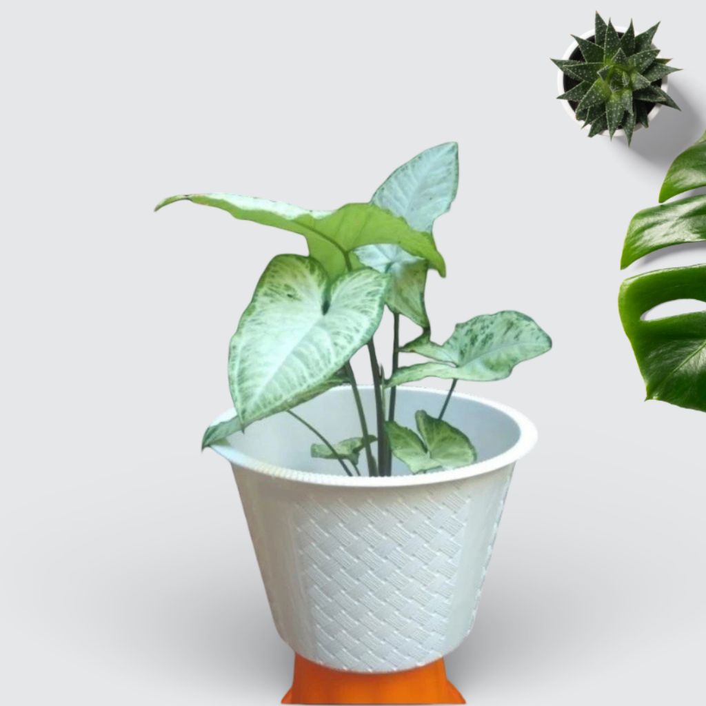 Pot Bunga Plastik Motif Anyam 25 Cm, Pot Tanaman, Pot 25 Putih