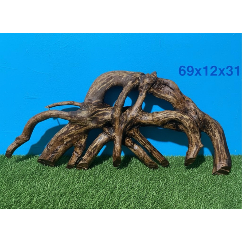 BONGGOL/AKAR KAYU AQUASCAPE