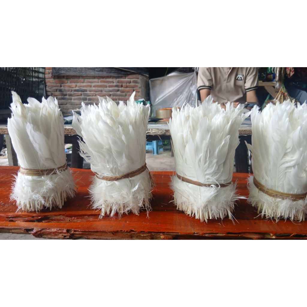 bulu angsa putih 1 meter