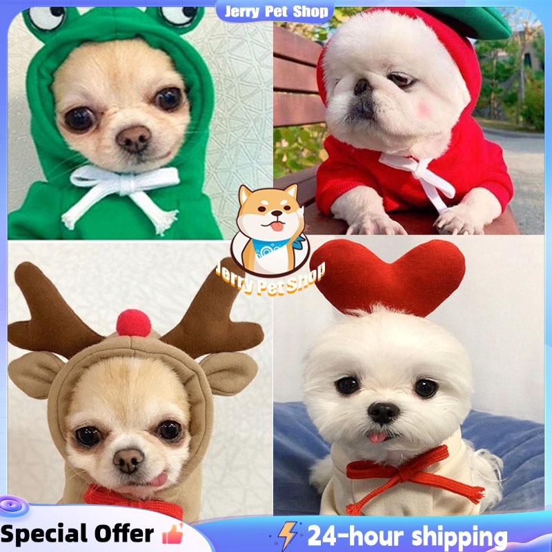 Baju kucing - baju kucing lucu kostum karakter - baju anjing poodle -baju kucing cewek- baju kucing 