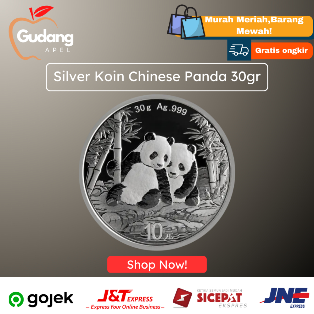 Chinese Panda Koin Perak [2021 - 2026] - Fine Silver 30 gr