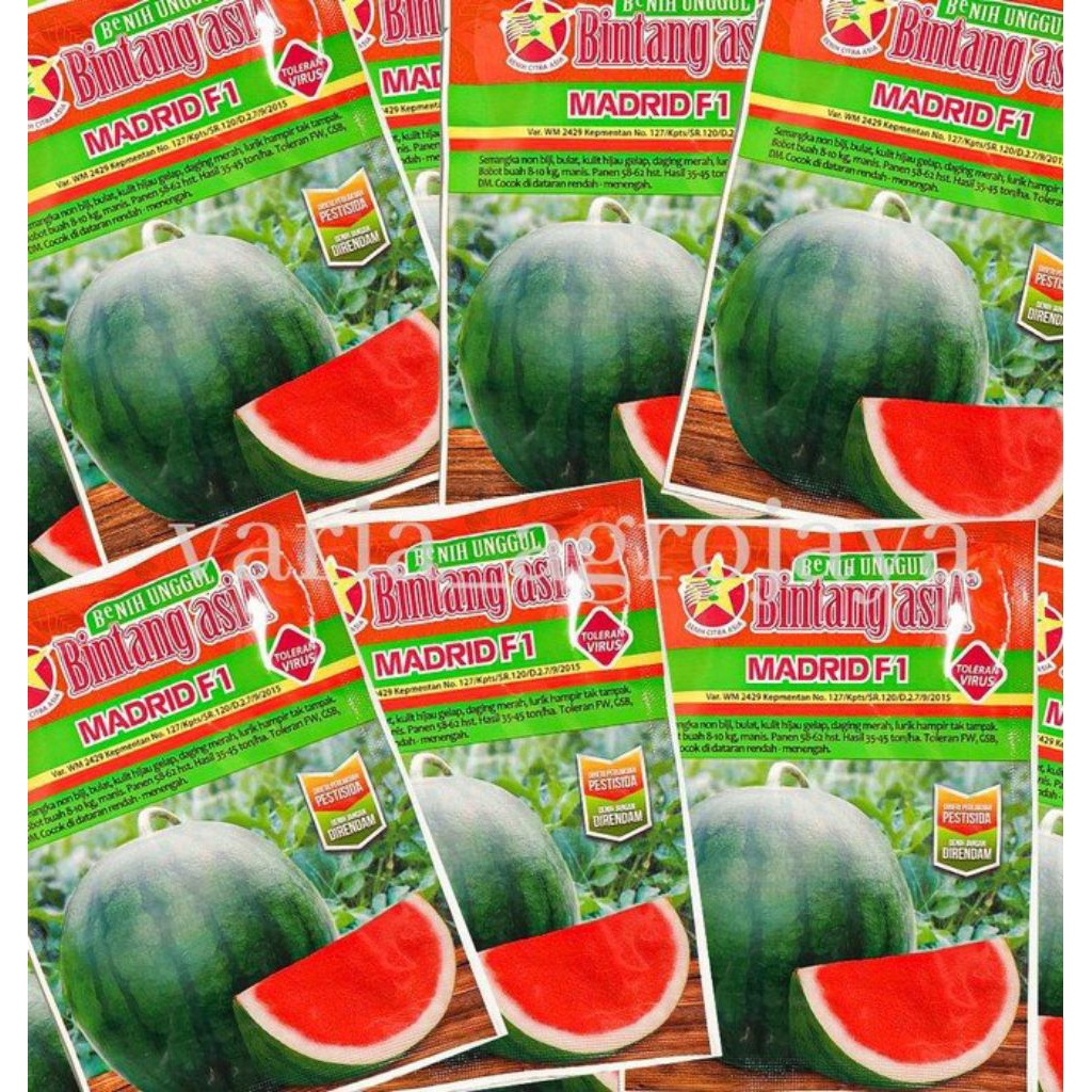 BENIH SEMANGKA MADRID F1 20 GRAM