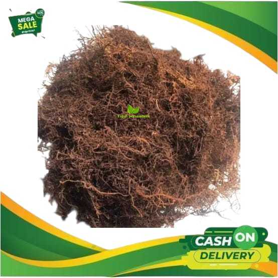 akar kadaka - moss hitam - media tanam anggrek kemasan plastik 1kg