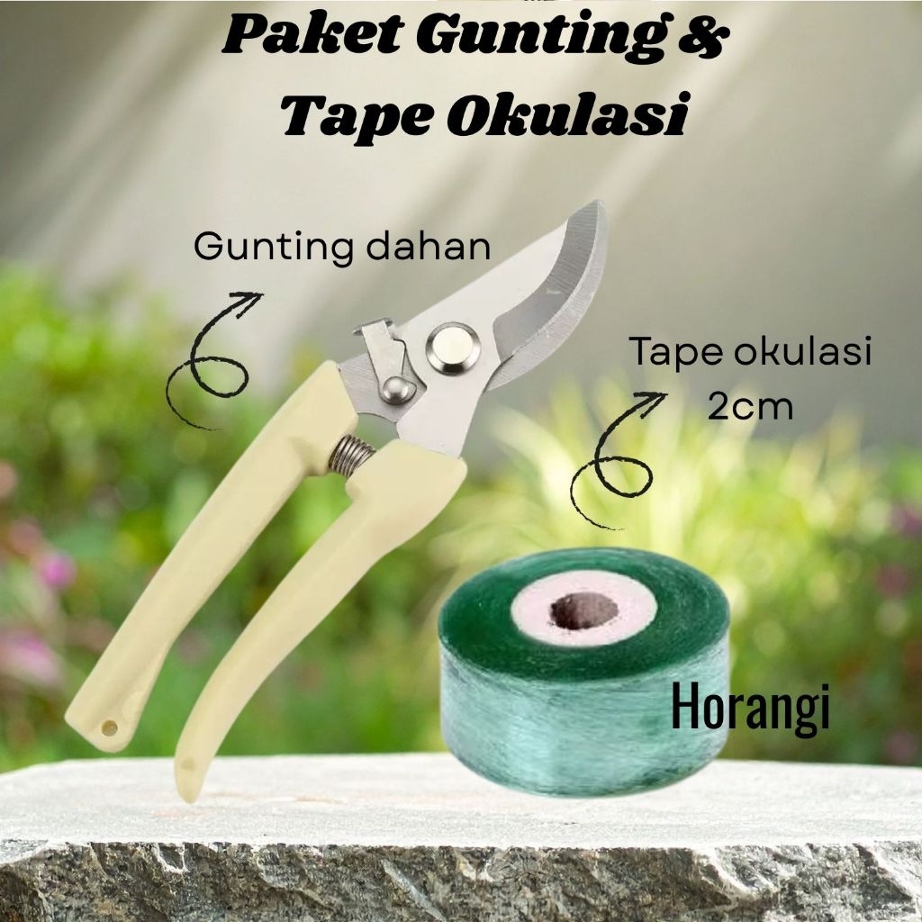 Paket Grafting Horangi Gunting Dahan + Grafting Tape 2 CM Alat Okulasi Tanaman