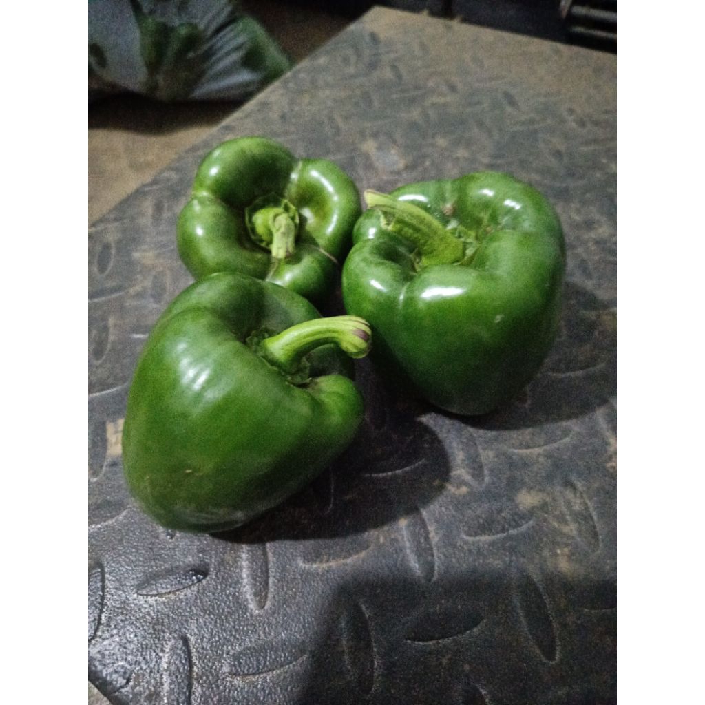 paprika merah kuning dan hijau 1 kg