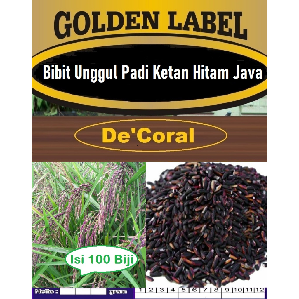 Bibit Unggul Padi Ketan Hitam Java | Biji Benih Padi Ketan Hitam Java | Bibit Beras Ketan Hitam