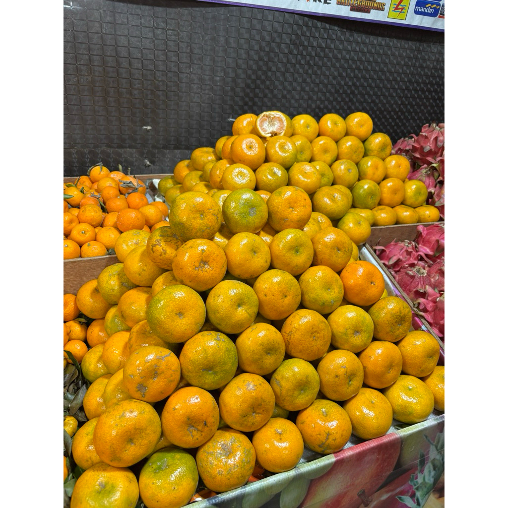 Jeruk Medan Super 1 kg