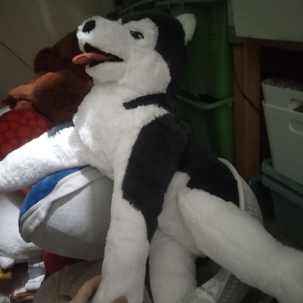 Boneka anjing siberian husky boneka anjing gunung salju 57cm