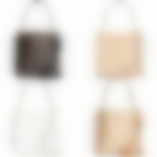 [Instant/Same Day]CA582 582 MOLLIE22cm classic logo strawberry print bucket bag shoulder bag messeng