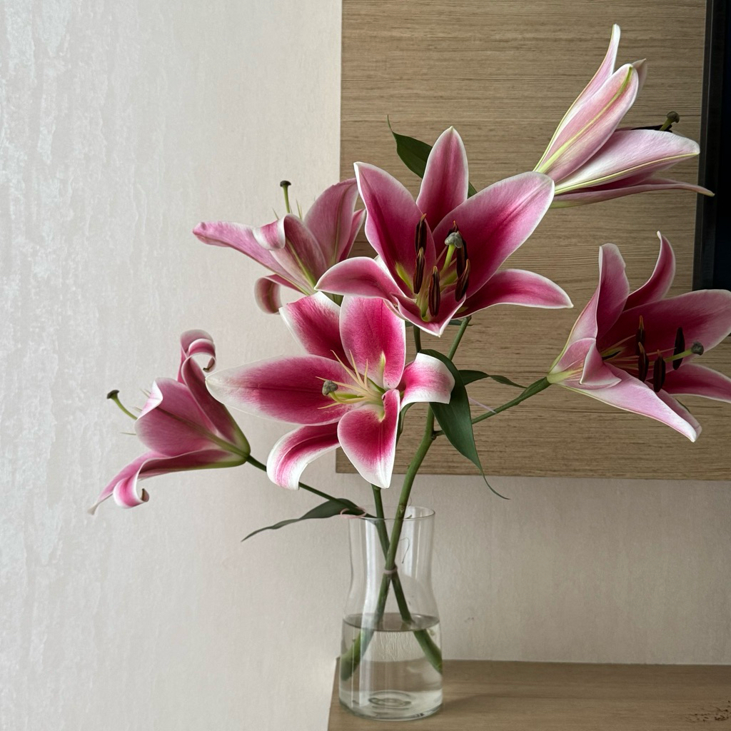 checkout kebaya encim lilac