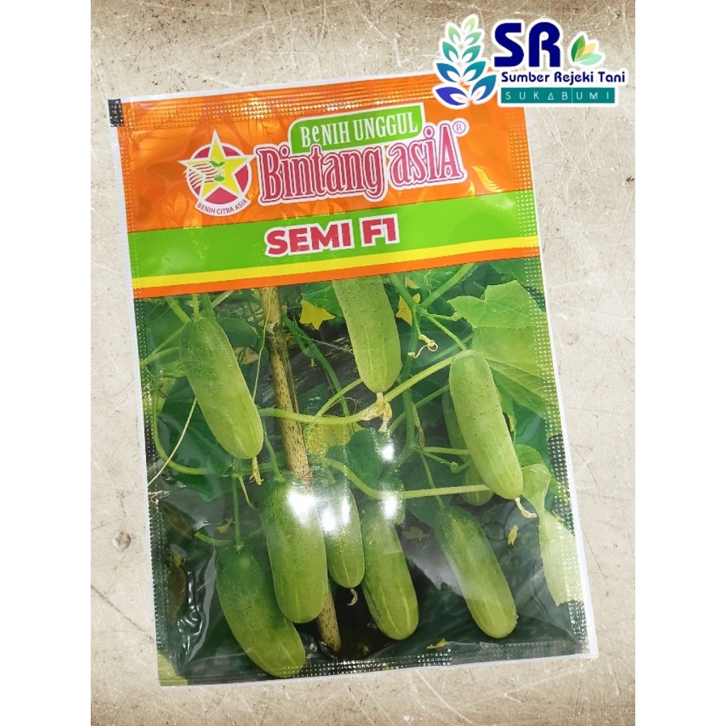 Benih Bibit Timun Semi F1 20 gram