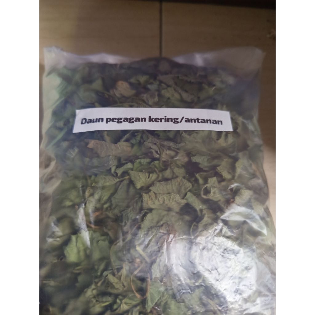 Daun pegagan merah atau antanan merah kering 100gram daunnya tanpa batang