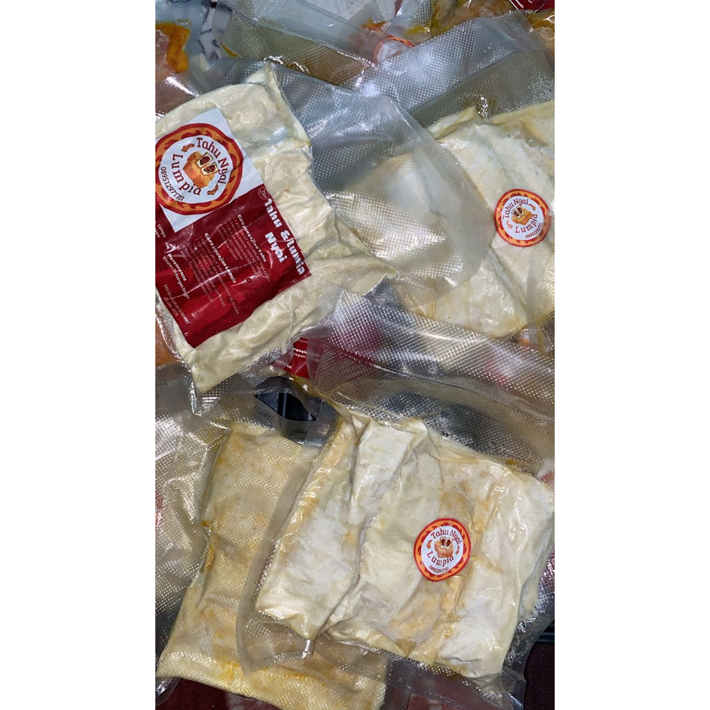 Lumpia Ayam suwir Frozen isi 6