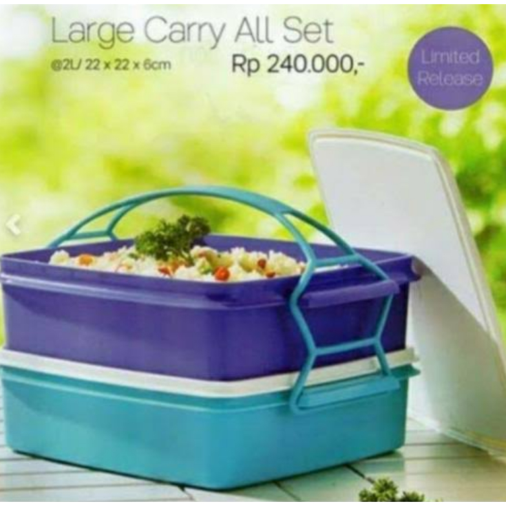 Tupperware Flash Sale - Large Carry All Set (Rantang susun) 2 pcs @ 2L / 22 x 22 x 6 cm