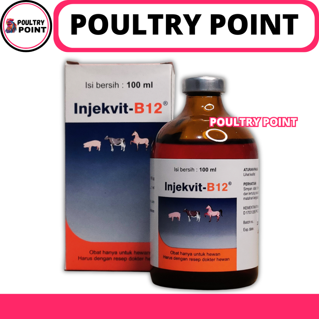 INJEKVIT B12 100ML - Obat B12 untuk perbaiki kondisi tubuh, anemia dan tingkatkan nafsu makan hewan 