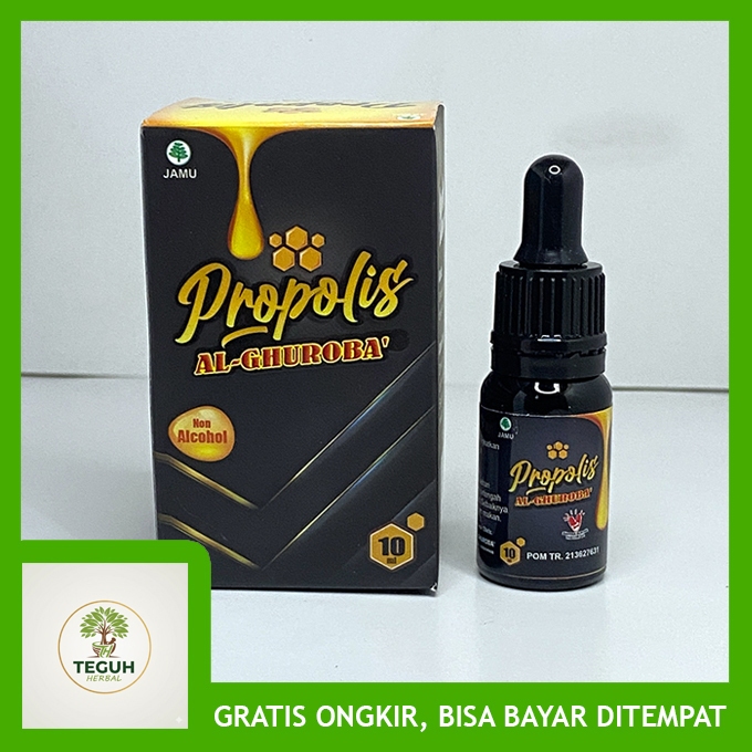 Obat Tetes Herbal Atasi Gangguan Telinga - Telinga Berdengung Berdenging Obat Tinnitus Obat Telinga