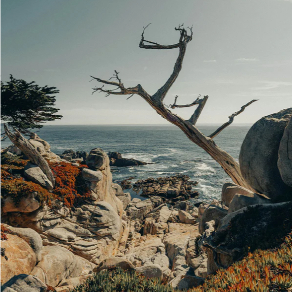 Raw Material Parfum Aroma Chemical Ambroxan