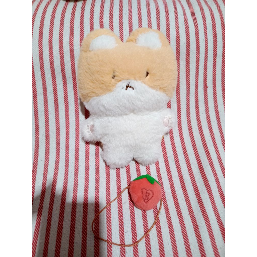 Teolaegi baekhyun boneka 20cm