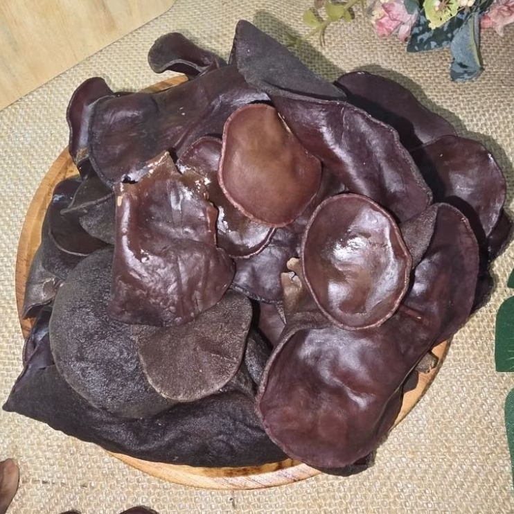 Jamur Kuping Basah / Jamur Kuping