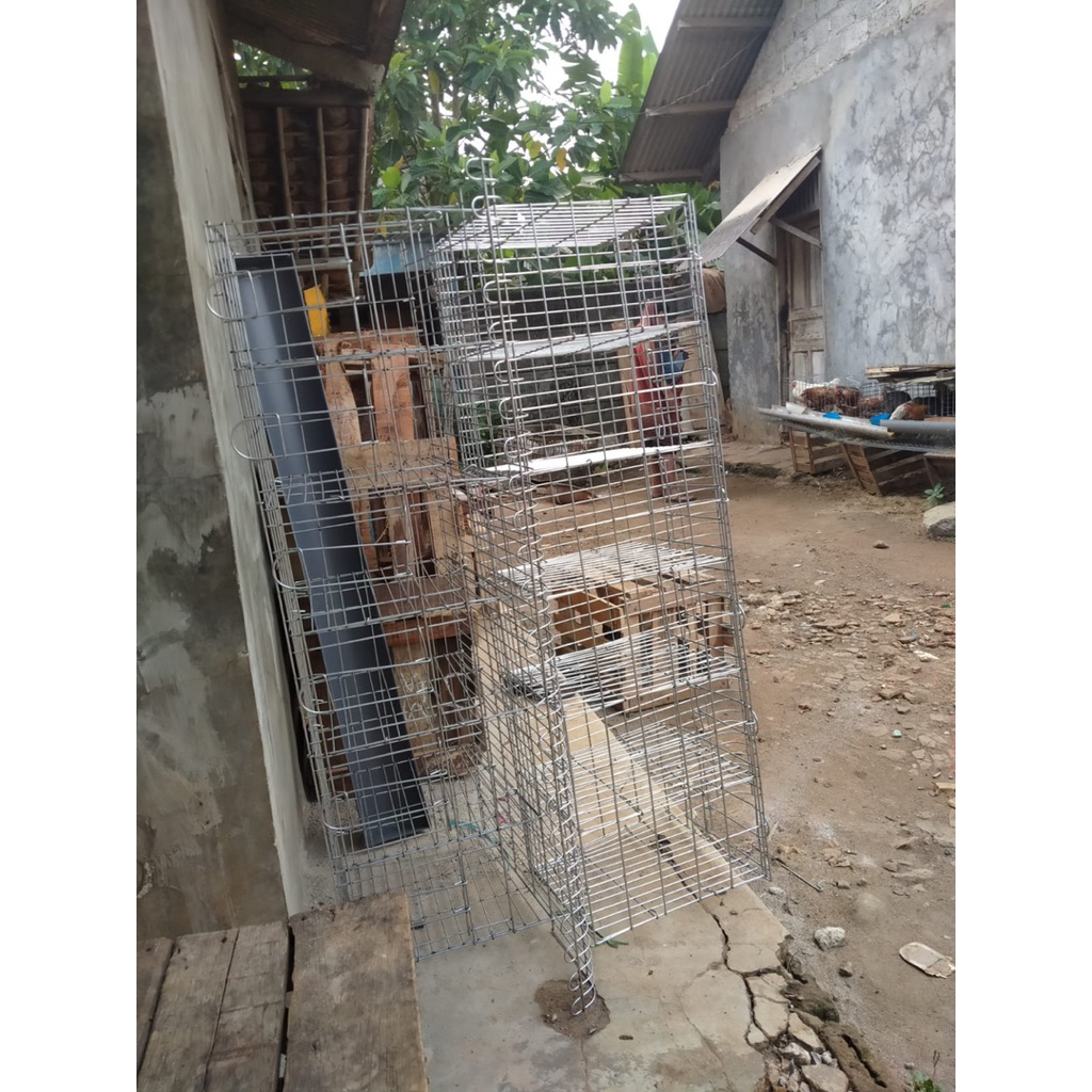 kandang ayam petelur pintu 6 isi 6 kualitas kawat terbaik