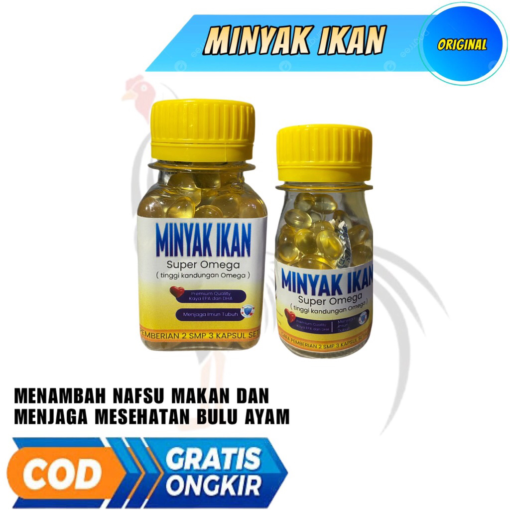 Minyak Ikan untuk menambah nafsu makan ayam