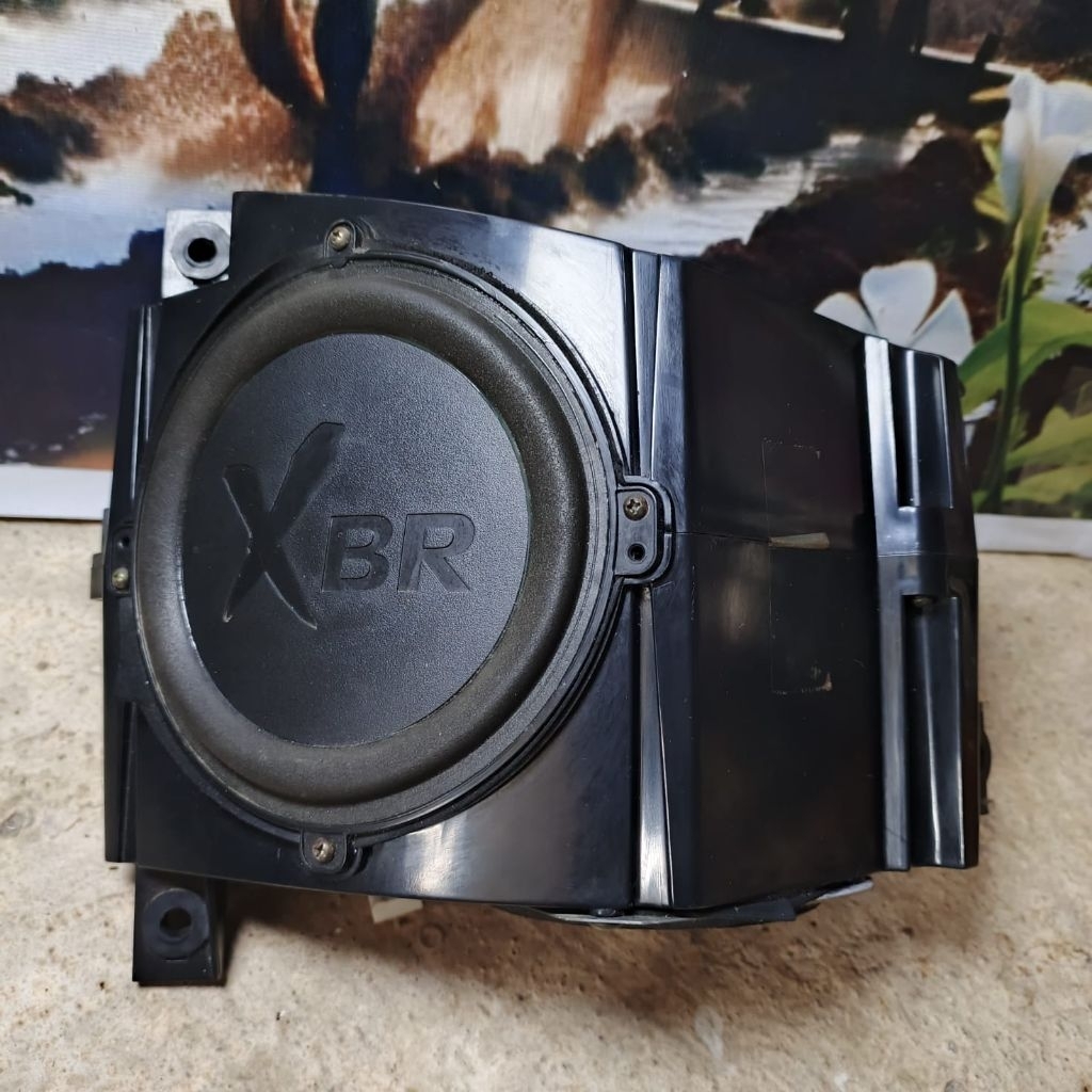 Subwoofer pasif POLYTRON X-BR ( original )