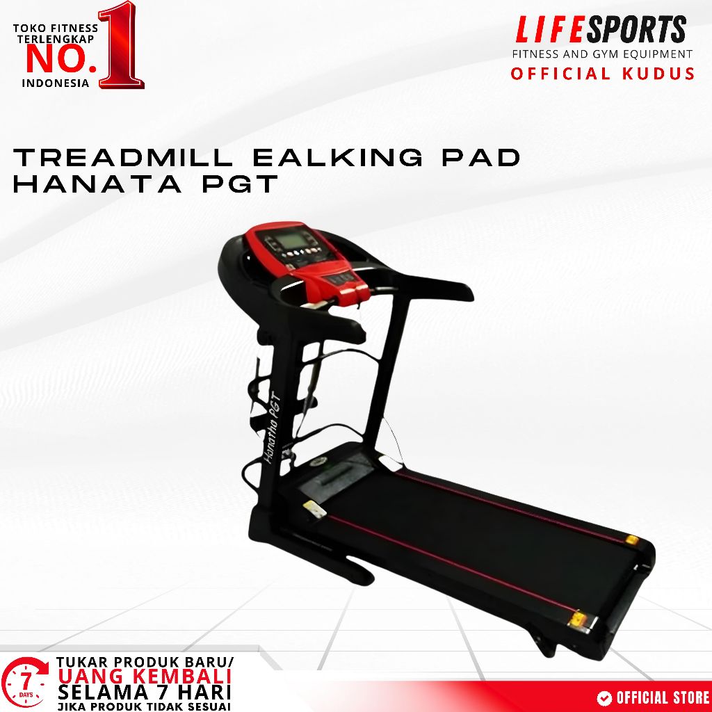 Lifesports - Alat Olahraga Fitness Gym Walking Pad Treadmill Elektrik Hanatha PGT