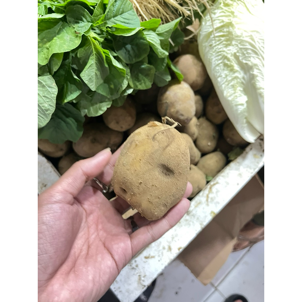 Sayuran Kentang Tawangmangu
