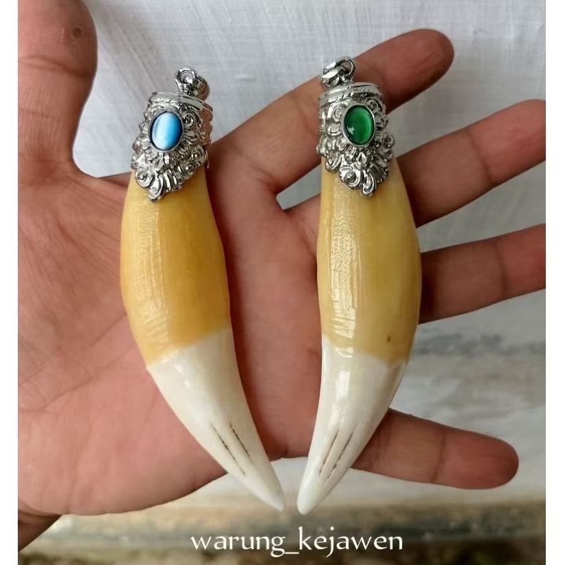 Kalung liontin taring HM