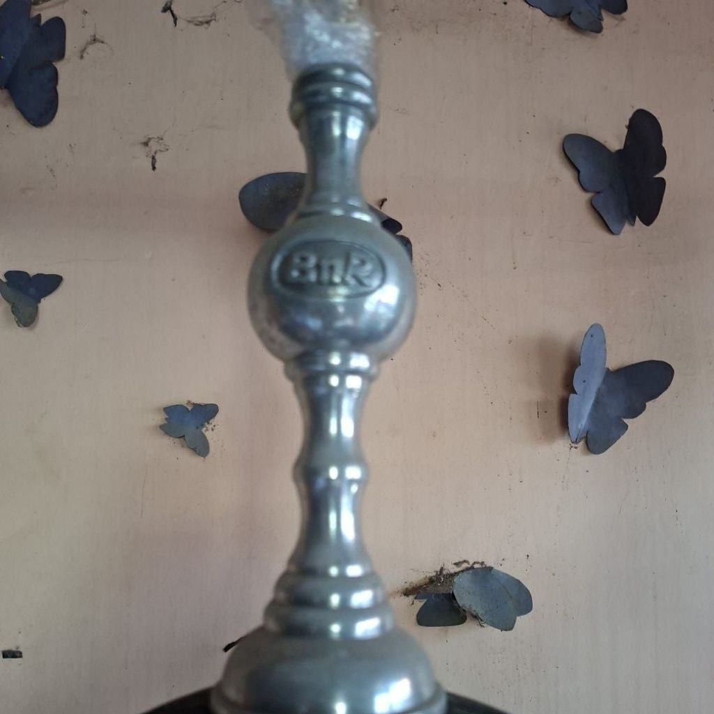 pion BnR besi