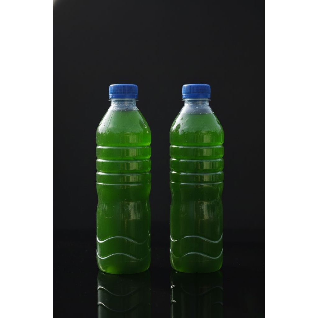 ​U Blue - Green Water - Nutrisi Burayak & Kultur Kutu Air