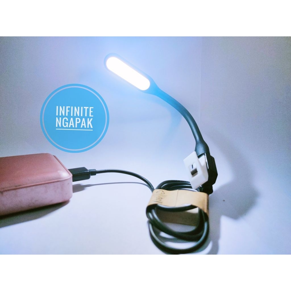 lampu ikan kecil cupang guppy