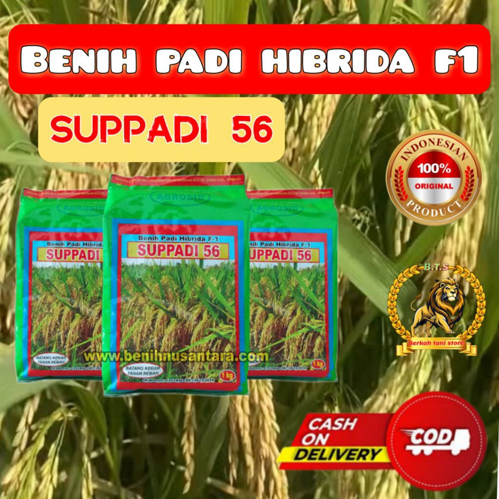 (1kg)Bibit Padi Hibrida F1 Suppadi 56 Kualitas Unggul