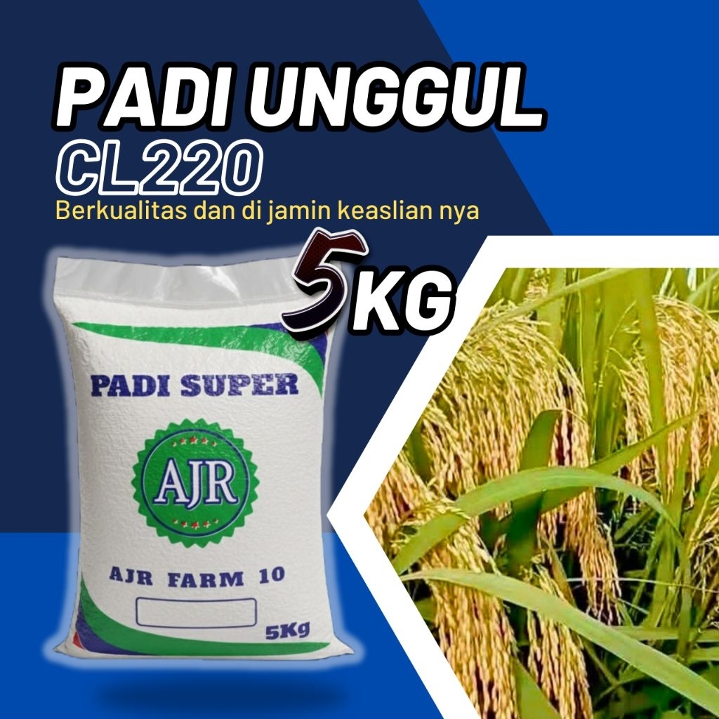 Benih padi unggul CL 220 5kg original