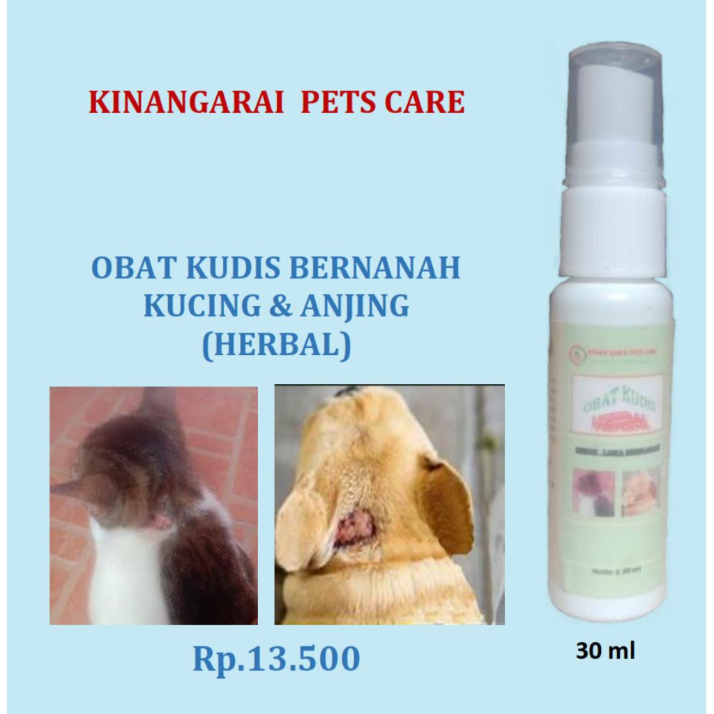 Obat semprot kudis bernanah 30 ml, bersihkan nanah, kudis kering cepat, praktis disemprotkan dan ama