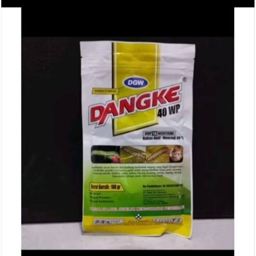 dangke 100g