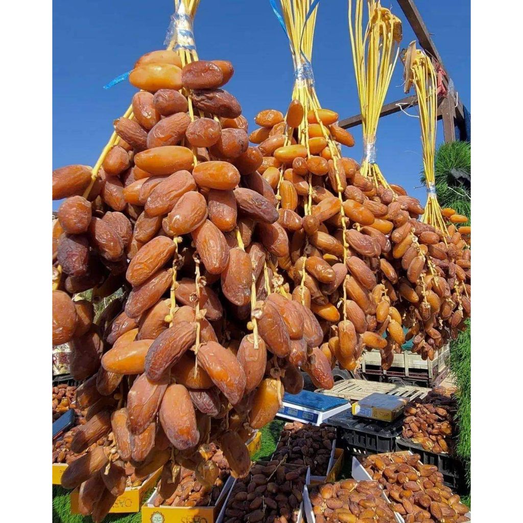 Kurma Tunisia Tangkai 500gr Deglet Noor Premium