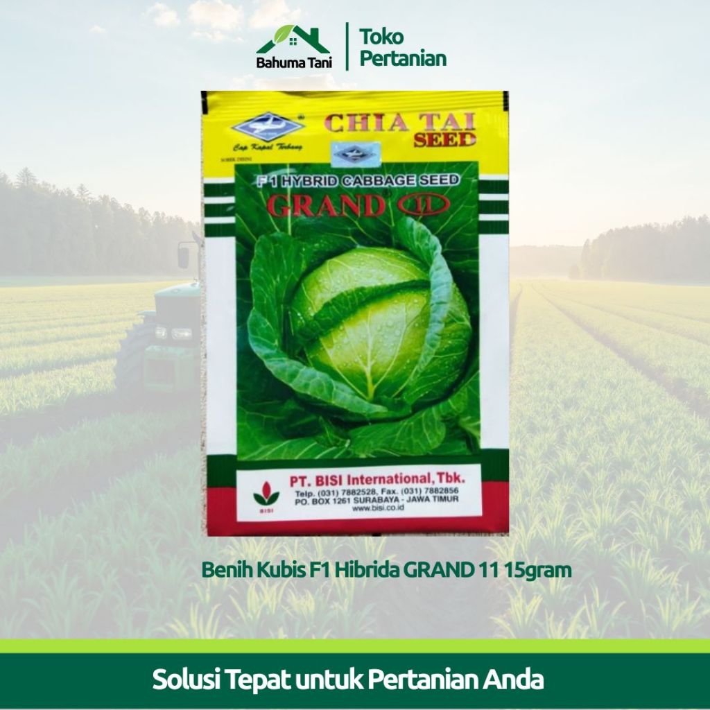 Benih Kubis F1 Hibrida GRAND 11 15gram - Cap Kapal Terbang / Benih Kubis Grand 11