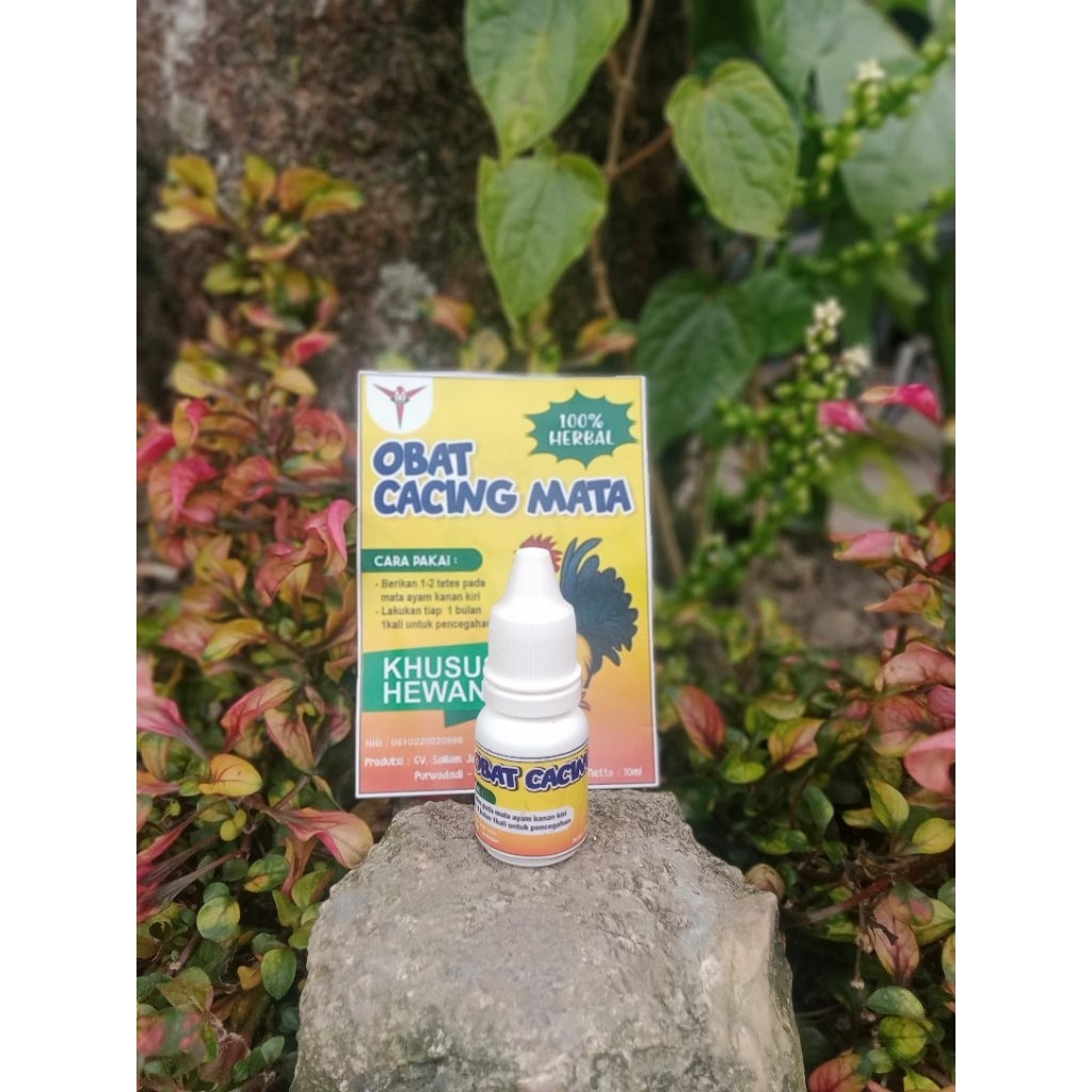 1 botol cacing mata original obat tetes mata ayam katarak kena jalu bengkak