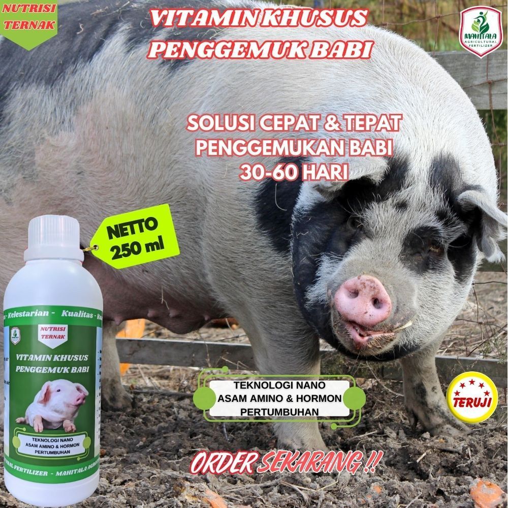 Vitamin Obat Nutrisi Penggemuk Babi Cepat Besar Cepat Gemuk Campuran Pur Babi Obat Penggemuk Babi