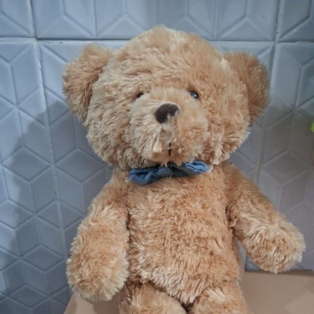 Boneka teddy bear Little M toys