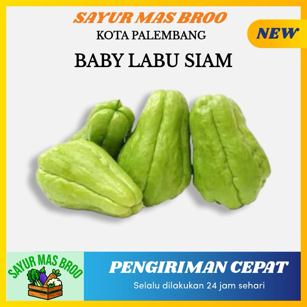 Baby Labu Siam/Labu Siam Mini Segar - Toko Sayuran Segar Murah Terdekat Mas Broo Palembang
