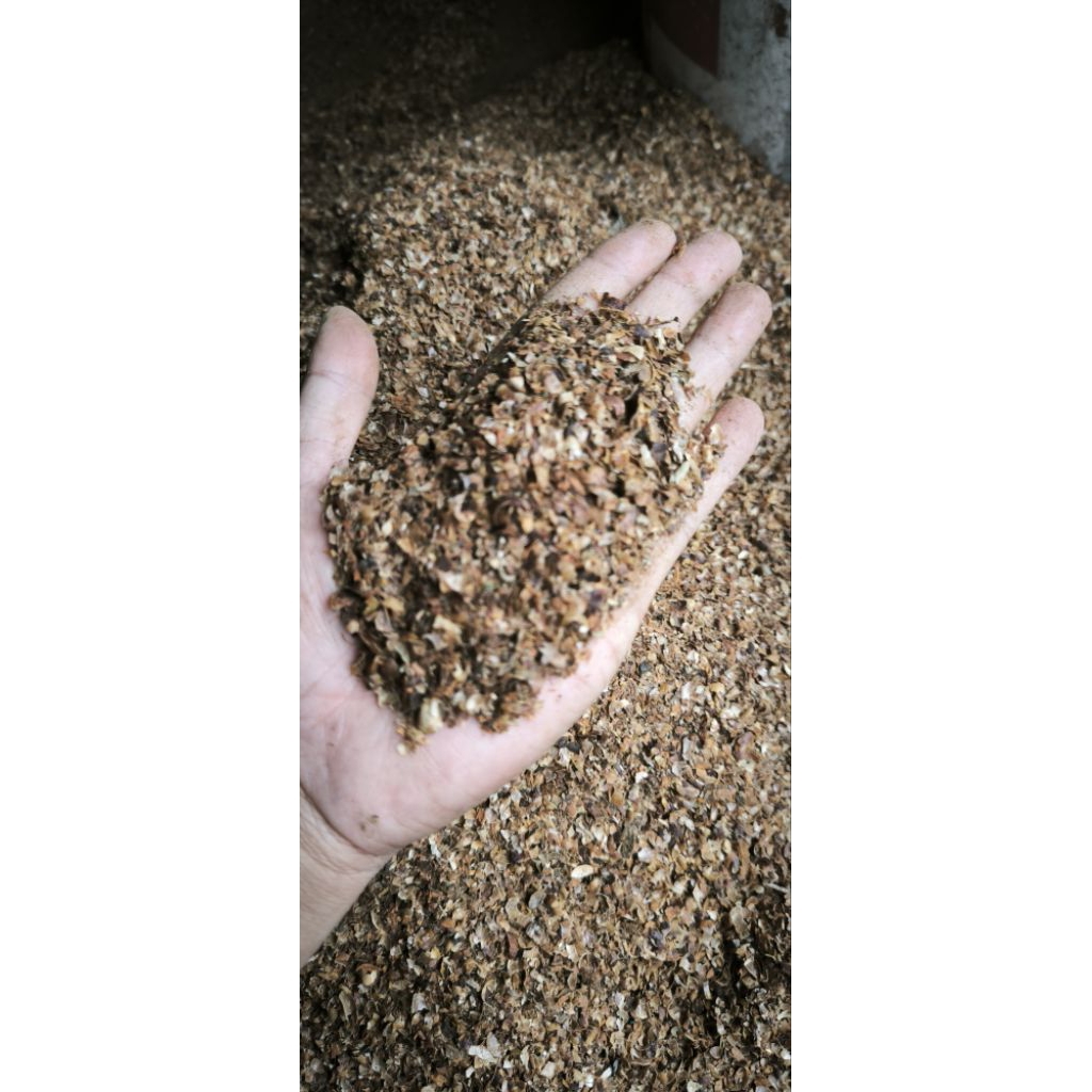 Kulit Kering Kopi Robusta 1 kg