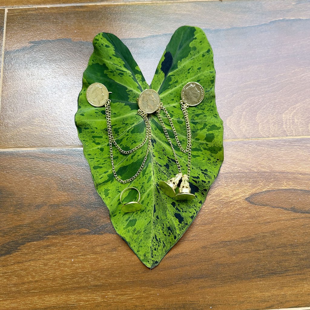 Bros koin jinar gold/aksesoris/bros dada koin gold