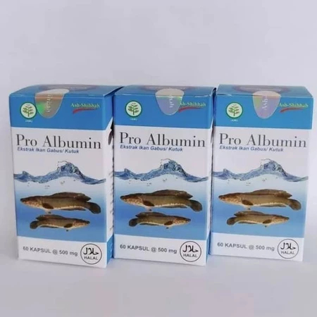 Pro Albumin Kapsul Ekstrak Ikan Gabus  Ekstrak Albumin Albumin Ekstrak Ikan Gabus isi 60 kapsul