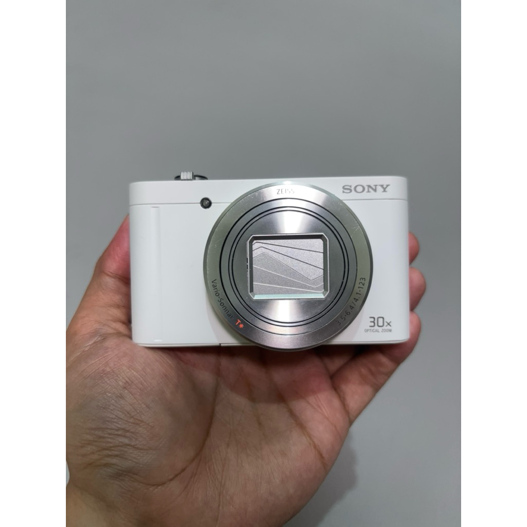Sony WX500